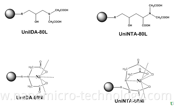 Chromatography Seprotein Purification Methods